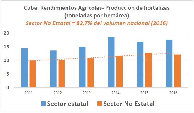 Graf 6 Hortalizas rendimientos