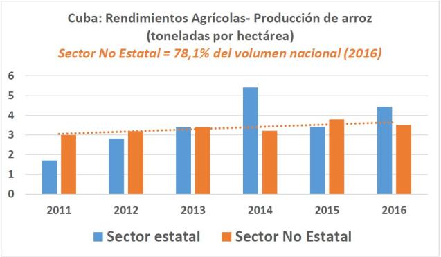 Graf 7 Arroz rendimientos